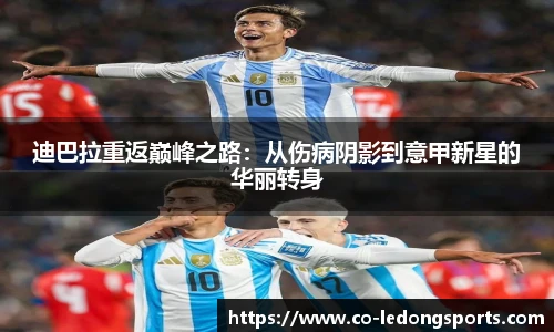 LDSports官网登录