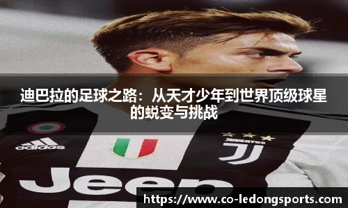 ldsports中文官网