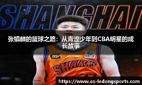 张镇麟的篮球之路：从青涩少年到CBA明星的成长故事