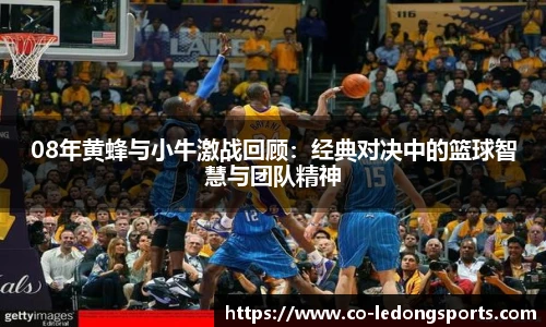 08年黄蜂与小牛激战回顾：经典对决中的篮球智慧与团队精神
